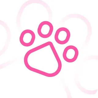 Cats VPN — Канал